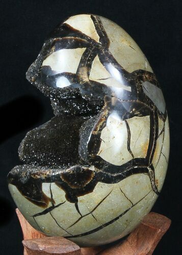 Septarian Dragon Egg Geode With Black Calcite #33502